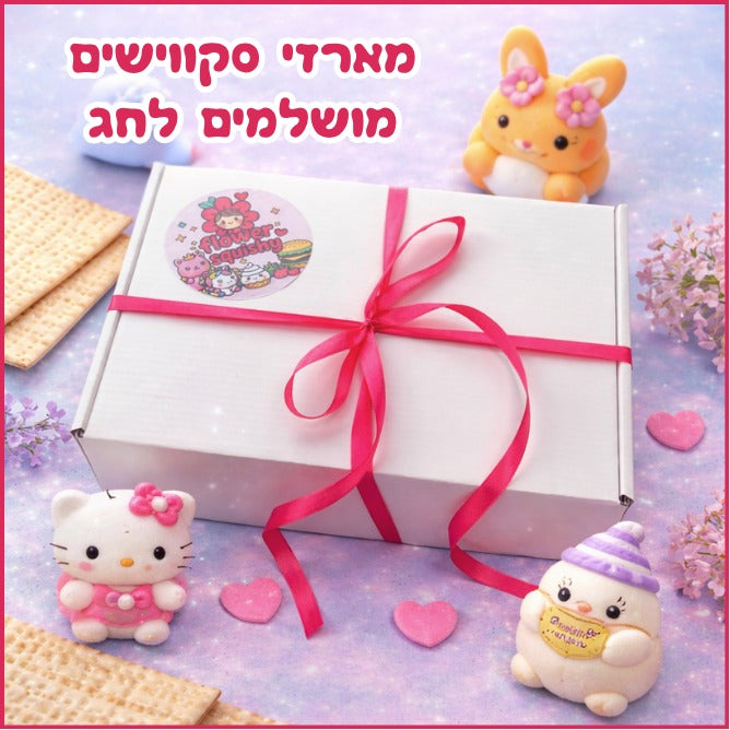מארז סקווישים